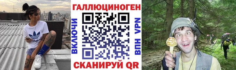 mega ONION Долгопрудный Галлюциногенные грибы ЛСД где купить наркоту